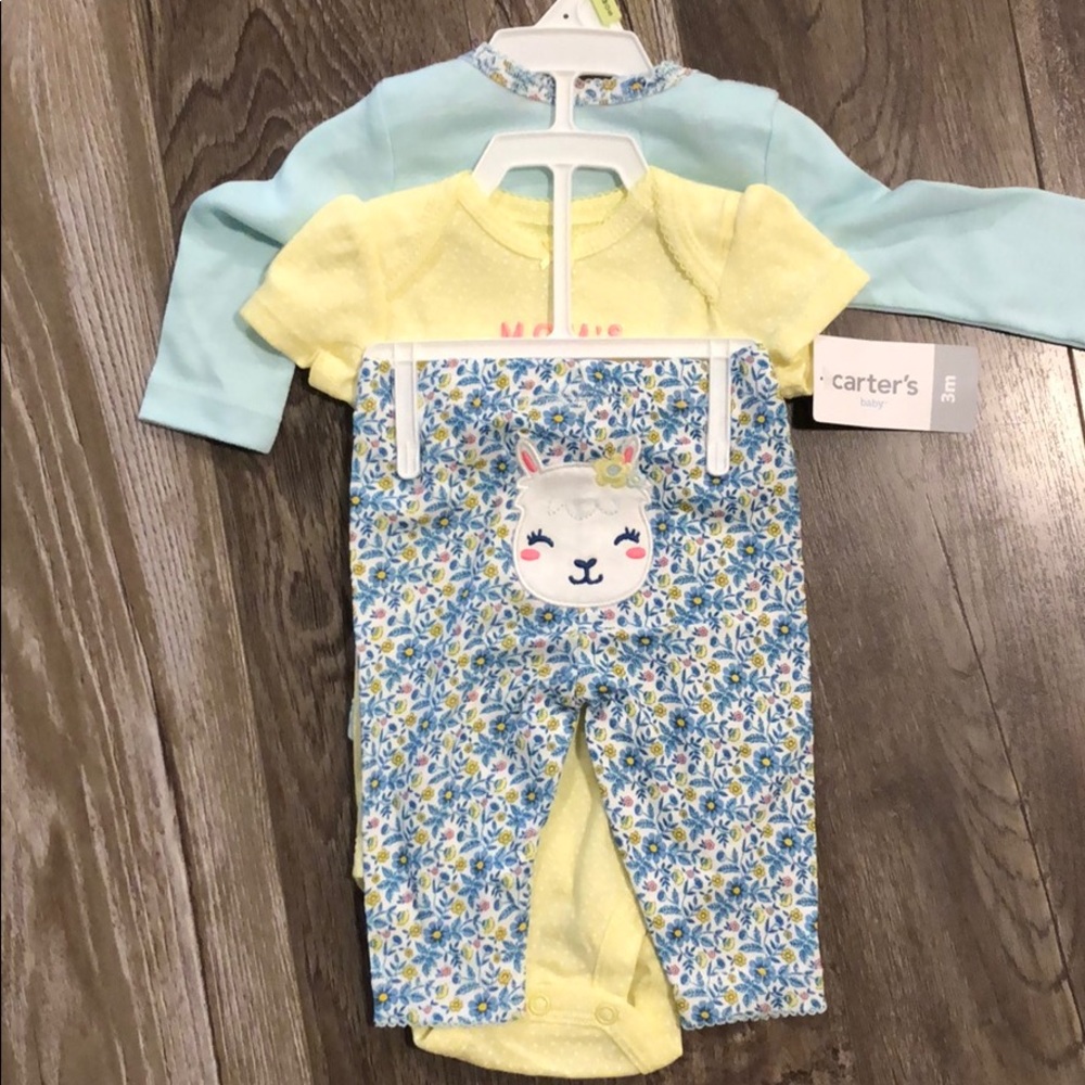 Llama outfit